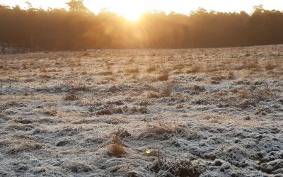 Ga deze ‘lockdown’ down naar jezelf.