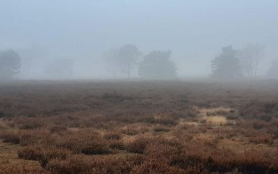 Dit overstijgt alles