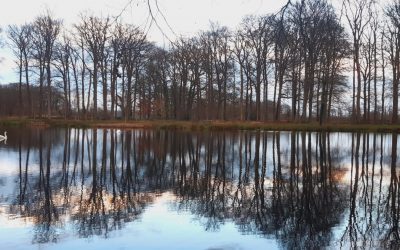 Een diep ingesleten overtuiging die me dwars zat