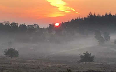 De stem van het ego versus Jouw Natuur