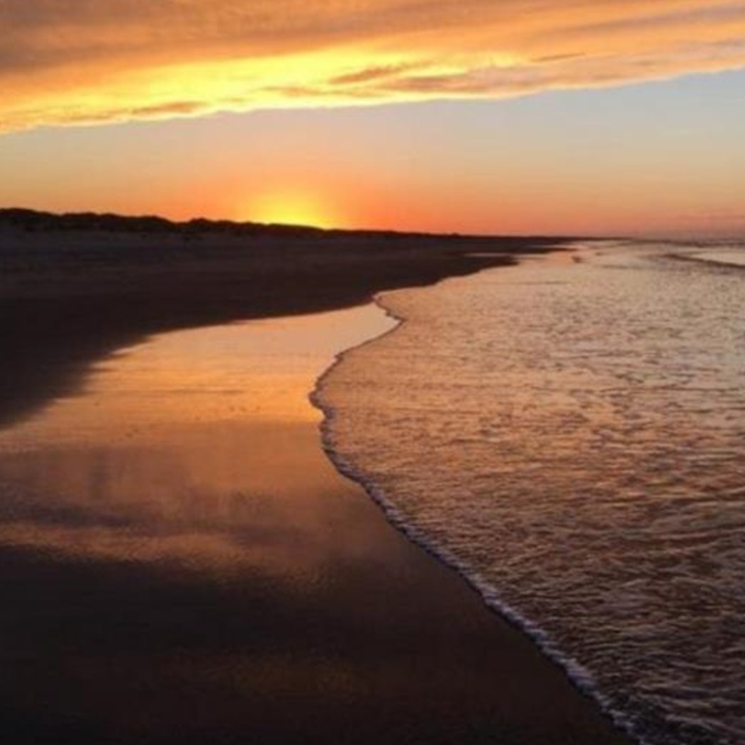 Trektocht Texel Trektocht Texel