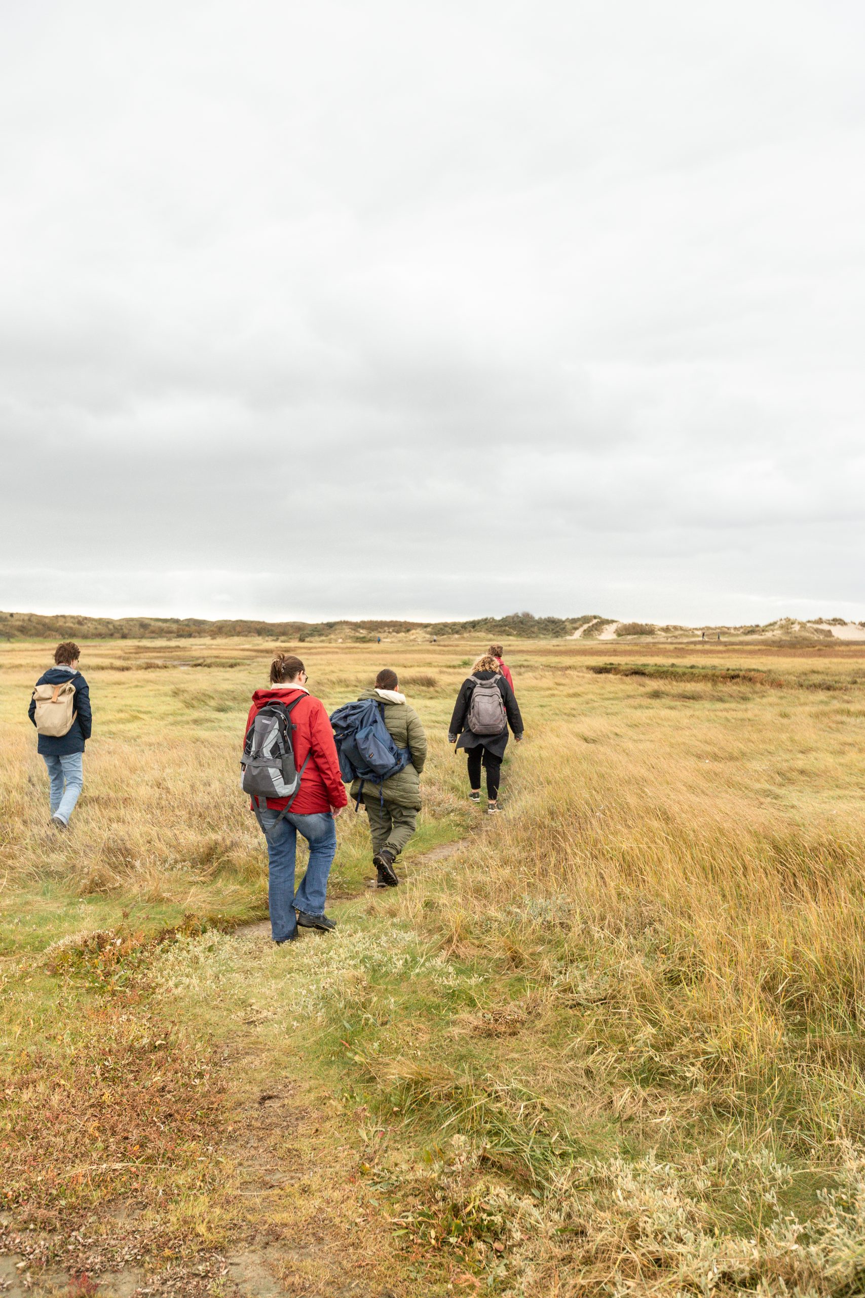 Vrouwen in de natuur Vrouwen die wandelen in de natuur tijdens een trektocht